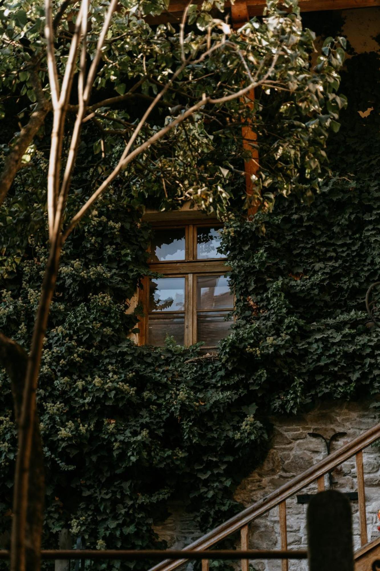 Fronius Boutique Residence Sighişoara Eksteriør billede